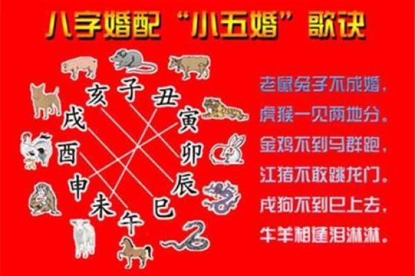 从生肖角度看男猪女鼠的婚姻配对如何