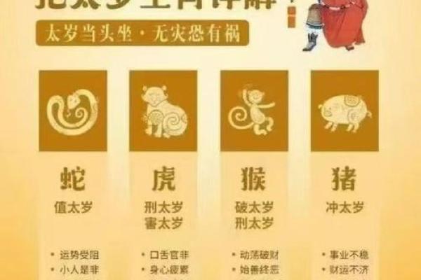 本命年猴男的财富积累策略