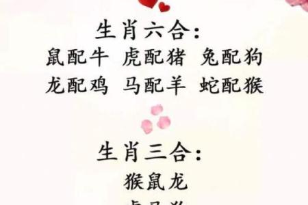 蛇与狗的星座配对是否和谐