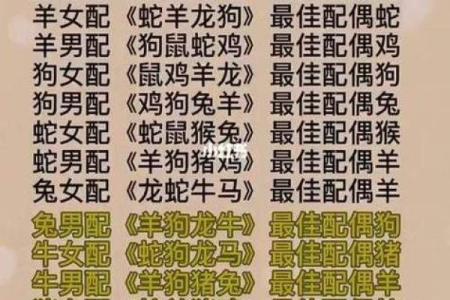 蛇和鸡能否相配？揭秘生肖配对的真相