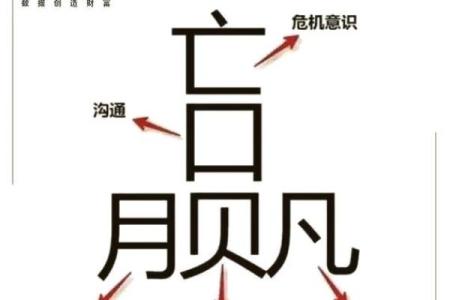 探索贝的名字：含义与象征的深度解读
