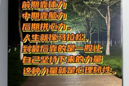 本命年鼠女如何在逆境中保持韧性