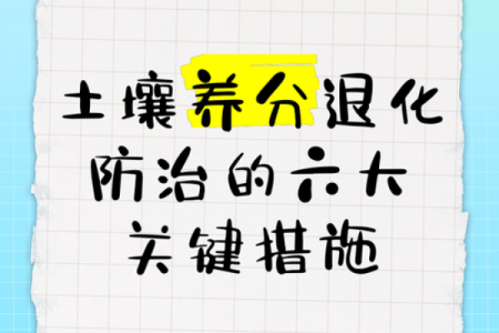 缺土的根源与解决之道：提升土壤质量的关键