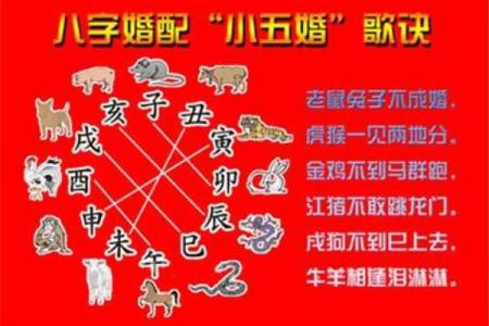 从生肖角度看男猪女鼠的婚姻配对如何