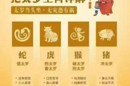 本命年猴男的财富积累策略