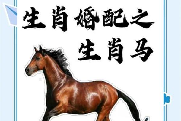 属蛇和马的婚配运势分析