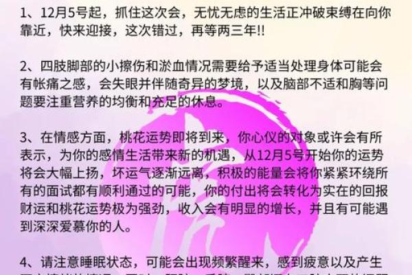 本命年属虎如何在困境中找到出路