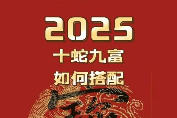 属蛇人如何在本命年中找到自己的贵人