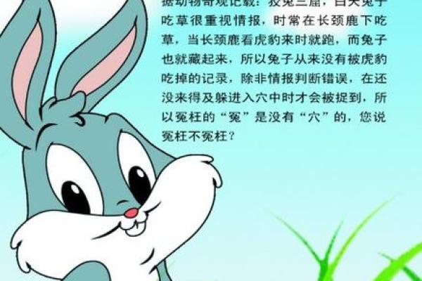 属兔男和属蛇女的婚姻契合度分析