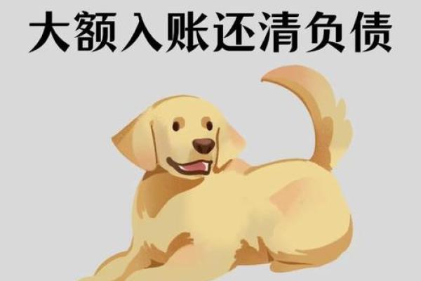 狗男本命年如何应对财务上的挑战