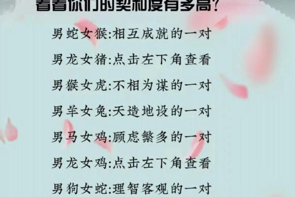 龙与狗的婚姻契合度解析：这段关系的独特魅力和挑战