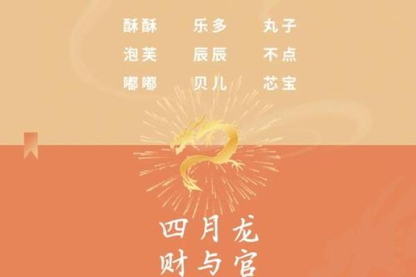 挑选最适合龙的名字技巧