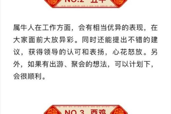 本命年猴男的职业方向选择