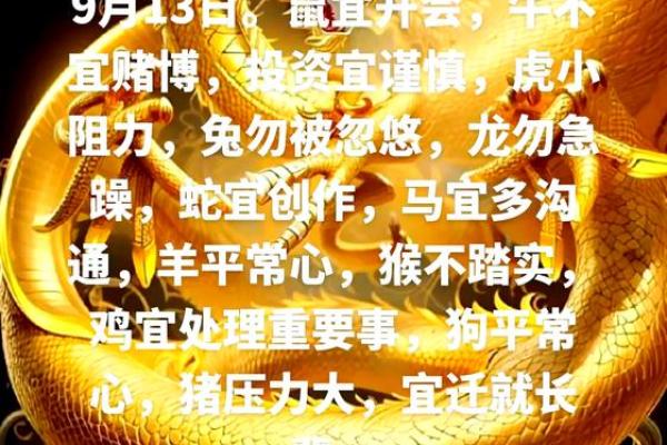 属鼠人本命年如何调整生活步伐