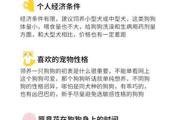 为爱犬选择完美名字的实用技巧