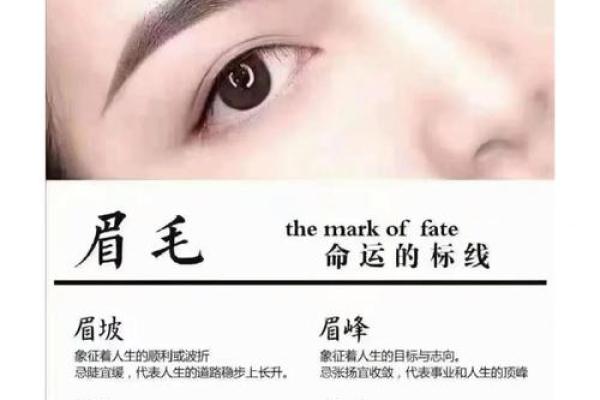 免费纹身算命生辰八字,揭秘你的命运密码! 免费纹身算命生辰八字,揭秘你的命运密码!