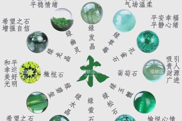 五行木命名之美：探索木元素的象征与寓意