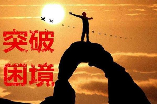 本命年虎女如何克服人生中的困境