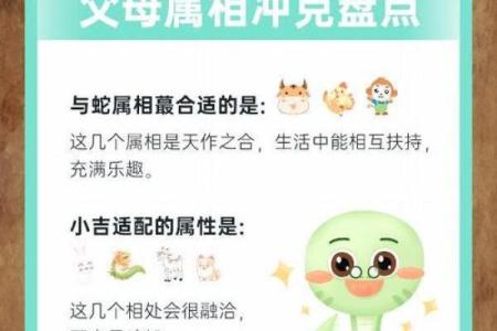 蛇与兔子的配对是否和谐 解析生肖相合与相克