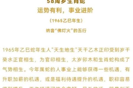 属蛇和马的婚配运势分析