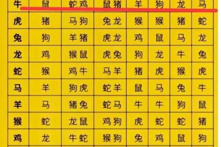 属兔女与属虎男的配对分析：缘分深浅如何判断
