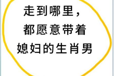 属兔男和属蛇女的婚姻契合度分析