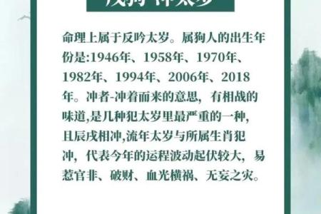 狗男本命年如何应对财务上的挑战