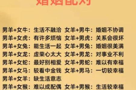 探讨羊与马的相容性