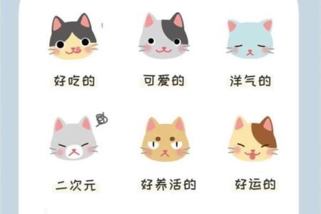 为你的女狗狗取个个性名字的创意灵感