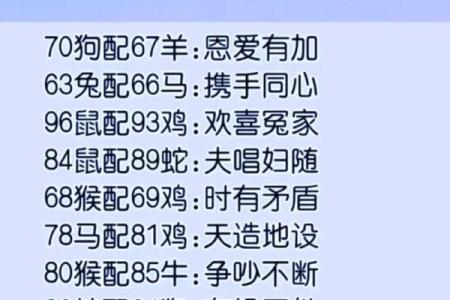 龙与狗的婚姻契合度解析：这段关系的独特魅力和挑战