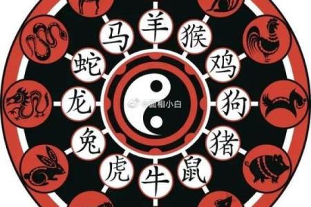 本命年鼠女与生肖运势的关系