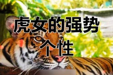 牛男虎女的性格差异与相处之道