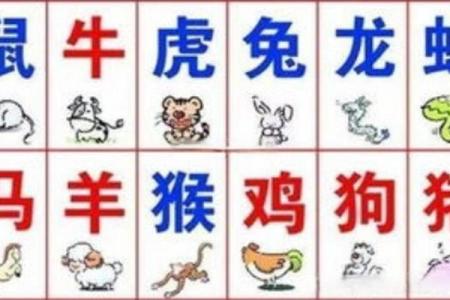 属虎和属羊在一起有默契吗 一起来了解下