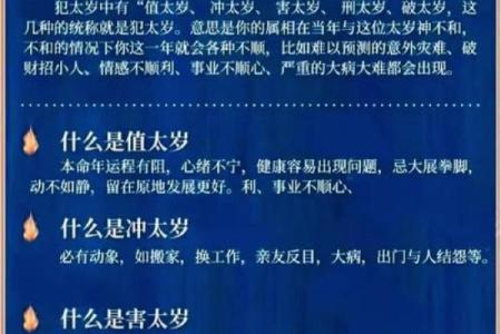 揭示阳命水相人背后的神秘含义