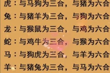 老鼠和老虎属相配对是否能长久