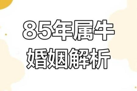 鼠牛配对：缘分与挑战并存的关系探讨