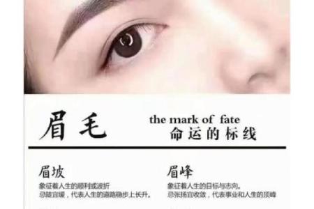 免费纹身算命生辰八字，揭秘你的命运密码！