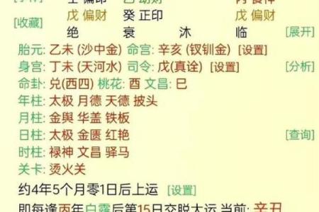 今天的土命生肖分析与运势解读