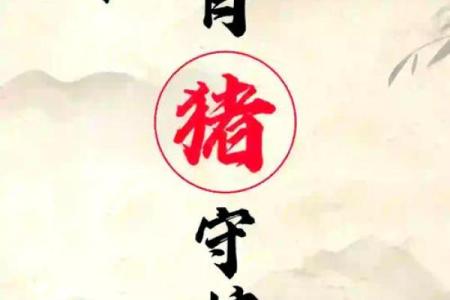 属猪的本命年如何化解不顺