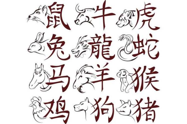 本命年属兔如何改善家庭生活环境