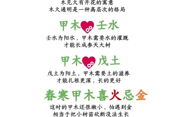 甲命属于哪个五行属性的分析与解读