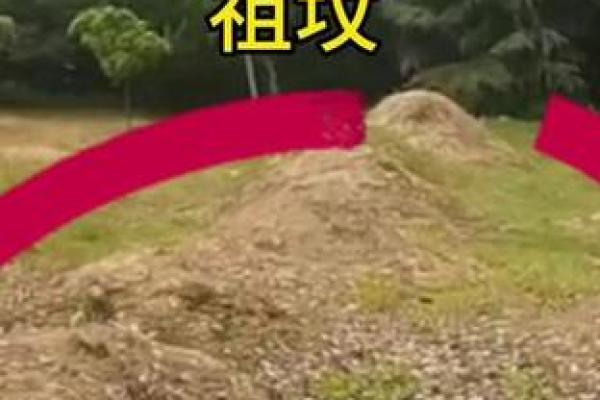于震的八字解析,揭开命运背后的深层含义 于震的八字解析,揭开命运背后的深层含义