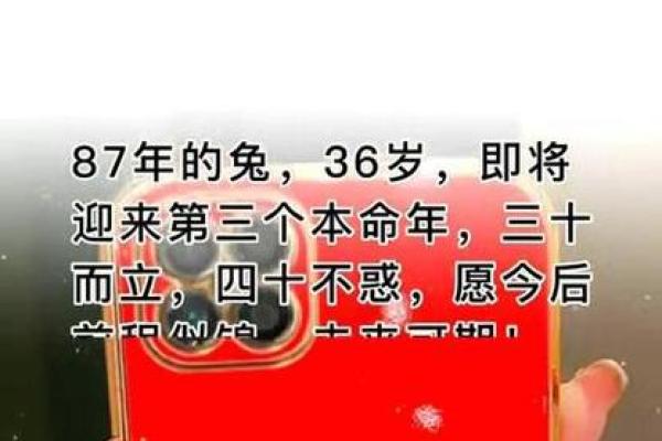 属兔本命年如何通过努力改变命运