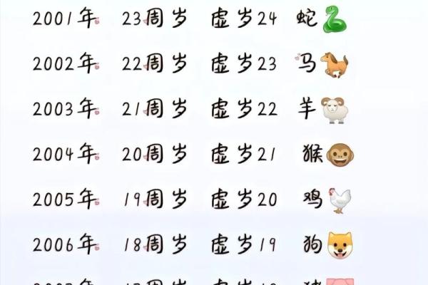 属龙女在本命年中的学习与成长
