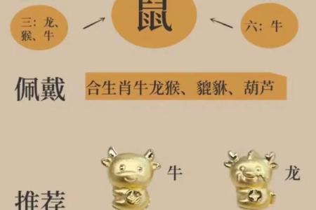 生肖对比：龙鼠配对的优缺点分析