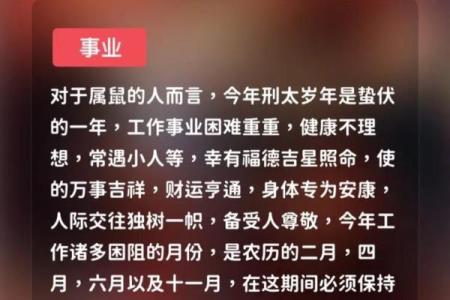 本命年属兔如何改善家庭生活环境