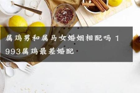 属马与属鸡的婚姻运势如何？