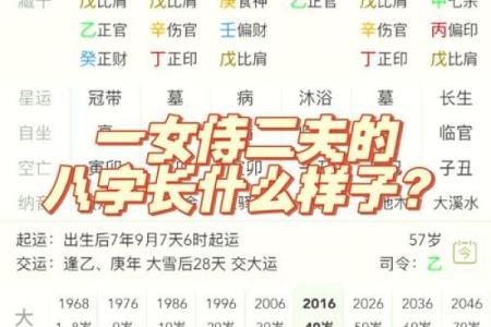 于震的八字解析，揭开命运背后的深层含义