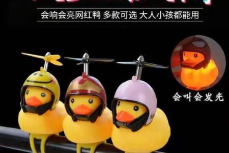 用这些名字让你的鸭子与众不同