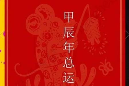 属兔本命年如何通过努力改变命运
